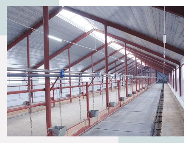 Строительство коровников в Сорочинске от 620 руб.