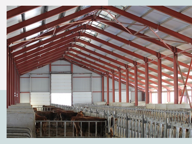 Строительство коровников в Сорочинске