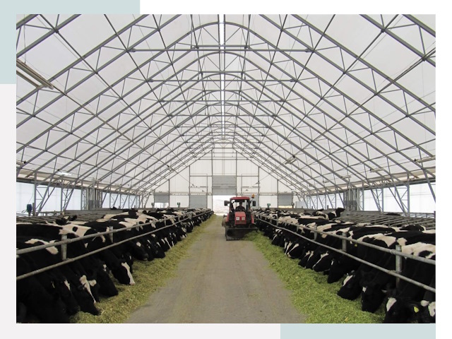 Тентовые коровники в Сорочинске от 620 руб. - Надежно и доступно